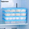 特百惠（Tupperware）冰箱收纳汤圆虾仁包子速食储藏不粘密封冷冻饺子保鲜盒家居馆 1.3L*2（无包装盒） 实拍图