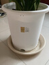 爱丽思（IRIS）素烧风圆形花盆托大号树脂底碟底托托盘接水盘加厚盆托 内径约28.5cm 12号米色 实拍图