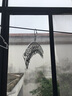 众福缘 不锈钢晾衣架多夹子多功能衣夹衣架家用防风晾袜架晒袜子男女神器物 外防风款 不锈钢弧形 20夹（1只） 1个 实拍图