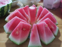 精品国产麒麟大西瓜 甜瓜1粒装  单果约3.5kg  新鲜水果 实拍图