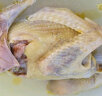土记 新鲜散养鸽子3只净重900g 乳鸽鸽子肉生鲜其他禽类 实拍图