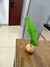 荣花施 松果装饰手工diy材料包幼儿园儿童环创干花干果圣诞挂件场景布置 树叶植物材料盒【随机一盒装】 实拍图