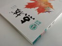 【2026学年】2025秋新版点拨九年级上册语文数学物理化学人教版 初三教材知识点梳理解读同步练习题中考教材全解读 9年级上下册可选 同步课本全解全析 九年级上册【化学】人教版（25秋新版） 实拍图