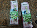 恬上心台湾高山茶正宗冻顶乌龙茶进口梨山高冷茶杉林溪浓香型阿里山茶叶 阿里山奶香鲜爽 150g*1袋 150克 实拍图