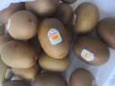 佳沛（zespri）新西兰阳光金奇异果33粒原箱单果重约103-124g水果猕猴桃礼盒 实拍图