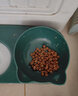 斑队长 猫碗狗碗15°护颈双碗自动饮水喂食宠物猫盆狗盆带瓶 猫咪用品 翡翠绿 大号-适合8斤以上犬猫 实拍图