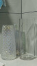 极度空间 玻璃花瓶插花瓶水培植物生态花瓶养花容器装饰摆件 极光幻彩 晒单实拍图