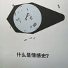 什么是情感史？（王德威/黄克武/王笛联名推荐，全球史学史专家王晴佳大家小书讲透情感史） 实拍图