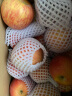 京鲜生 正宗新疆阿克苏苹果 脆甜苹果 4.5kg单果190-240g 新鲜水果 晒单实拍图