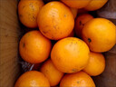 广西武鸣沃柑2025橘子新鲜水果当季一级沙糖蜜橘砂糖柑橘大果 小果(单果径55-60mm) 净重3斤 实拍图