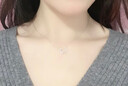 法蔻（farcoko）银镶钻项链女欧美小马蹄锁骨链简约颈链圣诞情人节生日礼物送女友 小马蹄镶钻项链 实拍图