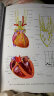 LWW解剖学精要图谱：胸部、腹部和盆部 实拍图