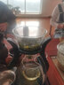茗播日照原产绿茶特级2025新茶明前绿茶板栗浓香型茶叶 袋装500g（有礼袋） 实拍图
