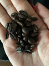 星巴克（Starbucks）咖啡豆袋装 原装进口手冲手磨意式黑咖啡豆到26年4月 派克市场200g（中度） 实拍图