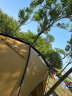 NatureHike挪客户外露营双人帐篷 沙丘7.6一室一厅轻量化便携防风防雨多功能 帐篷沙丘7.6/荆棘黄-升级款 晒单实拍图