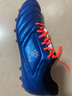 KELME/卡尔美青少年足球鞋男AG短钉成人比赛球鞋68833126 宝蓝 43 实拍图