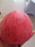 骄瑰 吉县壶口苹果水果10斤礼盒脆甜冰糖心精选大果新鲜红富士顺丰 85mm(含)-90mm(不含) 9斤 实拍图