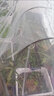 花房保温棚支架花棚家用绿植花卉暖房多肉遮阳避雨室外小型暖棚 黑色100*50*55（含膜） 实拍图