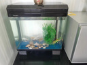 西龙中大鱼缸客厅家用落地懒人生态免换水带柜子一体自循环金鱼水族箱 38CM单鱼缸 实拍图