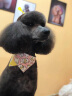 星记狗狗训练用品训犬玩具球边牧飞盘软飞碟耐咬不伤牙 星记妙想泡沫弹力球-黄色 大号 实拍图