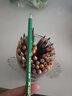 辉柏嘉（Faber-castell）水溶性彩铅笔48色彩色铅笔笔帘套装手绘专业画笔48色水溶彩色铅笔+50孔笔帘 速写 马克笔绘画 实拍图
