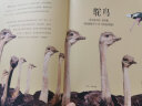 DK大自然百科全书（套装共2册）野生动物专家带给你视觉与大脑的双重享受（原定价316元） 实拍图