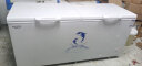 澳柯玛（AUCMA）560升家用商用大容量冰柜 卧式大冰箱 冷藏冷冻转换单温顶开门冷柜  BC/BD-560TC 晒单实拍图