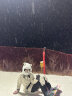 AWKA 单板防水防风滑雪裤女男滑雪服裤子宽松防寒户外运动自由式潮 黑色 S 晒单实拍图
