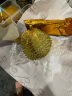 京东超市京鲜生 自然树熟 泰国金枕头榴莲水果 5.0-6.0斤 液氮冷冻锁鲜 晒单实拍图