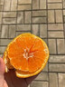 马保果青皮桔云南蜜橘早熟青皮橘子新鲜水果整箱绿皮蜜桔当季青皮酸桔子 4斤 礼盒装 实拍图
