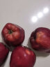 京鲜生 甘肃天水花牛苹果  4粒装 单果200g起  生鲜水果健康轻食 实拍图