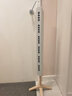 得康氧 teqair450小粒径负氧离子发生器家用负离子空气净化器除甲醛无臭氧无噪音无耗材 teqair    450 实拍图