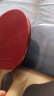 DHS红双喜对拍LS横直套装双面反胶健身组合型乒乓球拍E-E2F2 含拍套 实拍图