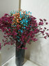 爱满（AIMAN）满天星天然干花花束ins网红生日 新房装饰摆件风干真插花家居摆设 黄色+天蓝满天星+红水晶  【不带花瓶】 实拍图