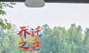 缘辉乔迁之喜窗花装饰静电贴福字玻璃门窗贴纸搬新家入宅布置仪式用品 实拍图