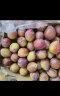 京鲜生 智利进口西梅 J级500g装 果径约33-36mm 智利西梅 生鲜水果 实拍图