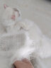 hello pet船记猫梳子狗梳子宠物拉毛开结美容蓬松针梳 H216(硬针加长特大号） 实拍图
