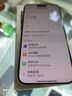 【8成新】Apple/苹果 iPhone 15 Pro (A3104) 256GB 原色钛金属   支持移动联通电信5G 双卡双待手机 实拍图