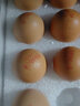 葛溪正太年货鲜鸡蛋 无激无抗 早餐 营养鸡蛋  农场直供10枚/45-50g/枚 实拍图