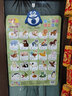 0-3岁婴幼儿按图触摸发声挂图 拼音识字卡数字有声启蒙早教 乖宝宝有声汉语拼音挂画 幼儿早教认知卡 动物世界 实拍图