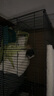 HKML兔笼子家用大号加密幼兔小兔笼兔子笼带厕所室内宠物兔窝荷兰猪笼 黑色大号50*33*33（基础套餐） 实拍图