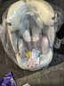 Miber汽车儿童安全座椅婴儿宝宝0-4到12岁汽车用可坐可躺360度旋转车载 highline-max云母白 实拍图