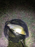 北溟鱼鲫二代鱼竿鲫鱼竿超细超轻28调碳素钓鱼竿手杆台钓竿 5.4m 鲫二代-28调 实拍图
