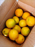 赣南脐橙江西甜橙子新鲜现摘水果精品大果礼盒送礼京东快递产地发 10斤精品果（80mm） 实拍图