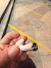 【二手99新】Apple/苹果 AirPods2单只耳机补配二代三代四代左耳右耳充电盒无线蓝牙耳机 二代单只 右耳9新 实拍图
