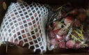 京鲜生 进口红地球(Red Globe)红提 2kg礼盒装 新鲜葡萄提子 生鲜水果 晒单实拍图