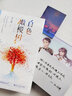 正版玖月晞小说作品集 少年的你，如此美丽 白色橄榄树 【文轩专享飞机盒】白色橄榄树  定价69.8 实拍图