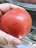 金百粟【顺丰】陕西泾阳普罗旺斯西红柿生吃沙瓤西红柿番茄蔬菜时令生鲜 普罗旺斯西红柿净重 3斤 顺丰快递 实拍图