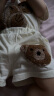 众嗨婴儿衣服夏季薄款可爱纯棉6短袖7分体8套装9个月一岁男女宝宝夏装 米色 80cm 晒单实拍图