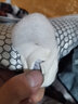 曼克顿（MANKEDUN）记忆棉床垫加厚针织棉乳胶床垫高密度可折叠可定制学生宿舍垫子 单边-抱抱熊-灰【厚约10cm】 150cm*200cm 实拍图
